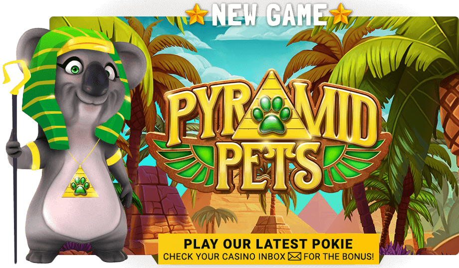 04_ng_pyramidpets_homepage_900x562.png?width=920&height=537