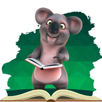 Koalas Diary