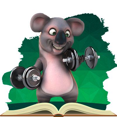 Koala lifting weight